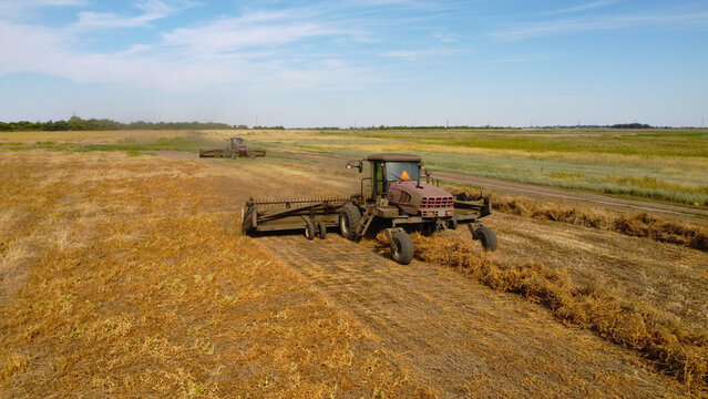 A wide elevated photograph showing two self-propelled windrowers operating in tandem across a vast, open agricultural field under a clear blue sky.