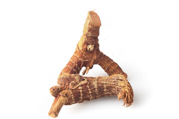 Fototapeta premium Fresh Galangal Root Spicy Aromatic Seasoning Ingredient Asian Cuisine Cooking