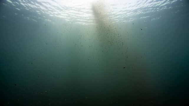 Underwater view of sunlight shining through water with floating particles and sediment