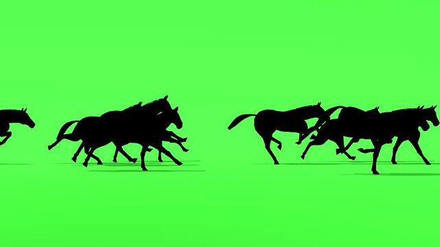 Small group of horse silhouettes running on green screen