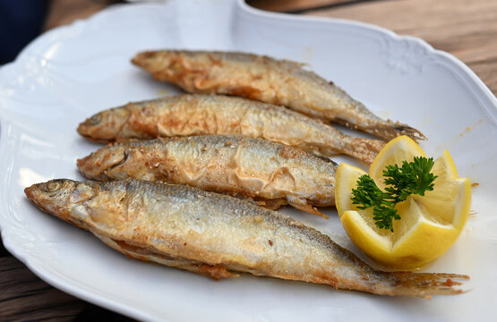 Pan-fried vendace (Coregonus albula) with lemon and parsley garnish on a white plate, freshwater whitefish from northern Europe in the family Salmonidae, selected focus