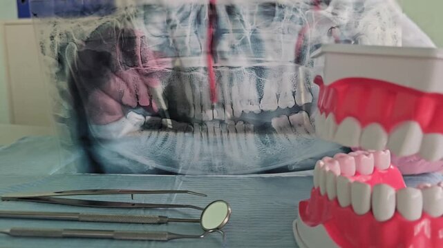Dentist performs procedure with dental tools and models in clinic
