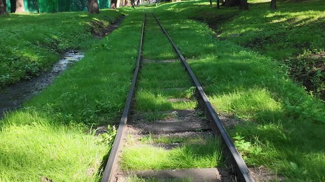 Old narrow gauge railway tracks overgrown with green grass in a summer park