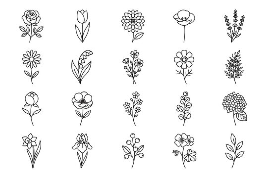 Set of hand drawn sketch flowers and leaves collection for botanical design elements and decorative art