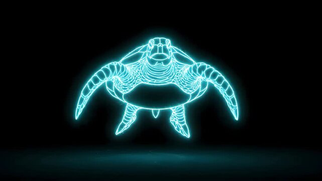 Turquoise Neon Line Art Sea Turtle with Graceful Flipper Movement on Black Background