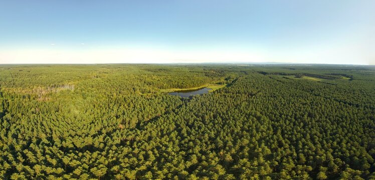 Forest Lake Surrounded by Lush Green Woodland, Natural Water Reservoir and Water Retention Ecosystem.