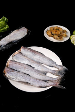 Fresh Silver Cod Fish with Skin on White Plate - Raw Seafood Ready for Cooking