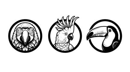 Obraz premium Engraved illustration showing three birds in black and white design with transparent background