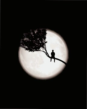 silhouette of a witch on a tree