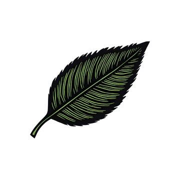 Linocut leaf graphics, green veins, black base, white background.