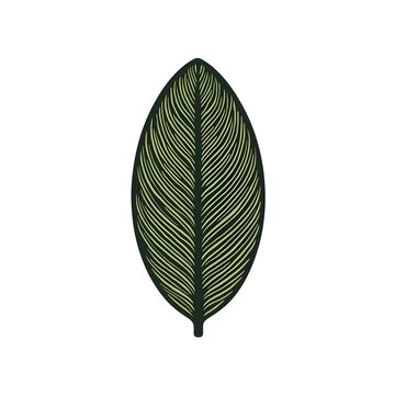 Linocut leaf graphics, green veins, black base, white background.