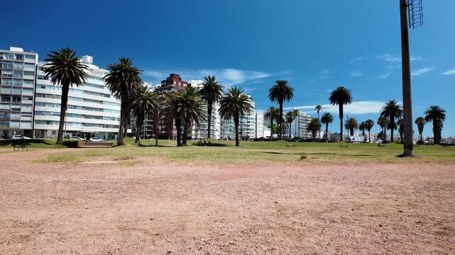 Palm trees and residential apartment buildings at Plaza Daniel Munoz, Montevideo, Uruguay