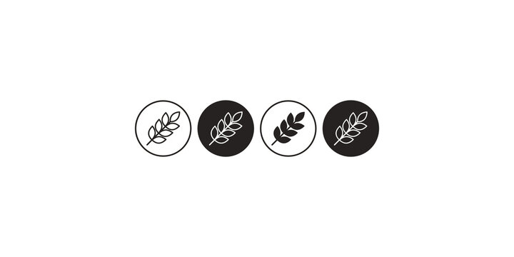 Set of four gluten free wheat ears icons in outline and solid style, black and white vectors on transparent background.