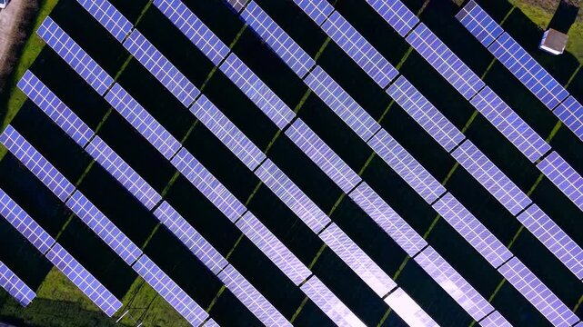 Overhead view of solar panel array in diagonal rows. Rows of photovoltaic modules reflect purple and blue light in a grid pattern.