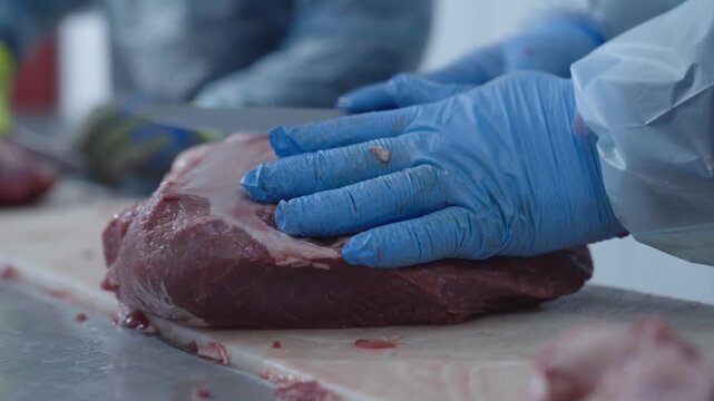 Ground Meat in Industrial Food Processing Facility