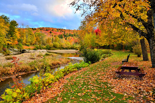Benches with fallen leaves and beautiful autumn colors along a river in Vermont, USA