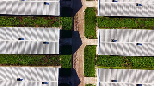 Top down view of poultry farm building intersection. Corrugated roofs meet at a paved crossroad surrounded by green vegetation.