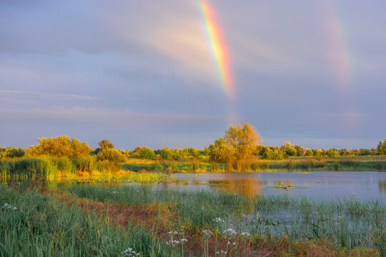 A double rainbow stretches across a cloudy sky over a serene, grassy lake surrounded by lush green trees at sunset