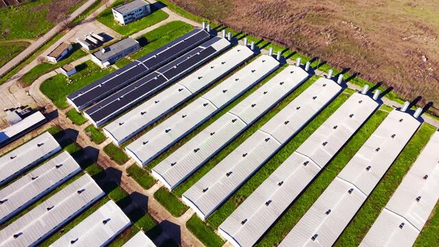 Aerial view of poultry barn roofs fitted with solar panels. Rows of white sheds and dark photovoltaic panels line green fields.