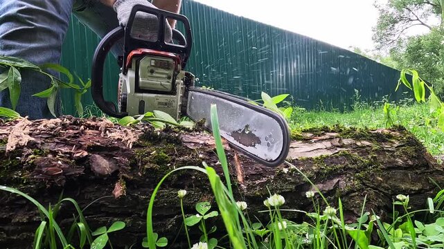Chainsaw cuts into mossy log in grassy yard. Worker grips tool firmly, focused on task. Green fence and wildflowers frame the scene. Perfect for outdoor labor or gardening projects