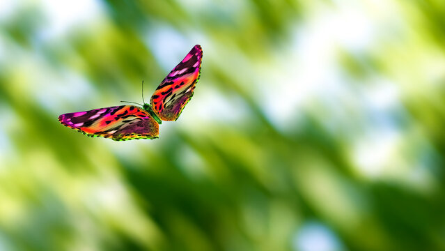 Butterfly flying among green leaves in a garden during daytime