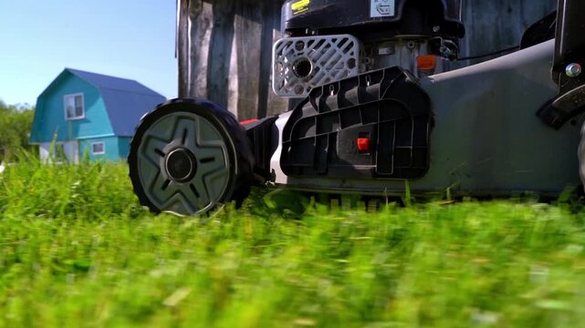 Lawn mower cuts grass with mechanical precision. Bright green blades glide smoothly through vibrant blades. Sunlit yard shows a rustic wooden shed in the background