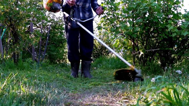 Worker cuts tall grass with a machine. He moves steadily through the garden. Dirt path winds through green bushes. Sunlight glints off blades as they cut. Grass clippings scatter on freshly cut earth