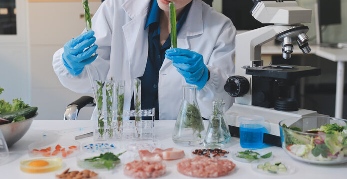 Scientists in lab coats work with plants in a modern lab, focusing on research and experimentation under bright, sterile conditions.