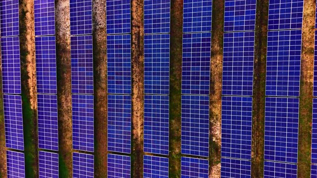 Dense grid of solar panels covering farmland. Overhead close up view shows tightly packed rows separated by narrow strips of soil and grass.