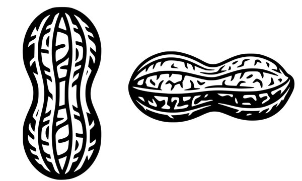 Two black and white illustrated peanuts showing bold silhouette and detailed interior kernel view, a clean vector clipart pair perfect for food branding, snack packaging, and agricultural design proje