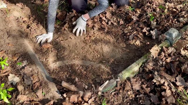 Woman wearing work gloves carefully clearing soil and dry leaves from the corner of an old neglected grave plot, revealing the buried cemetery border