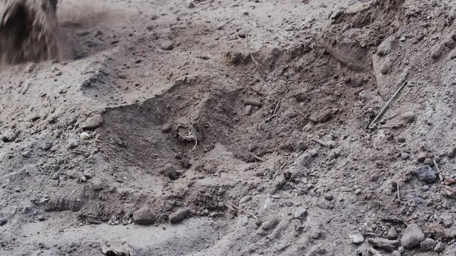 Close-up of a hand using a small garden hoe to dig and loosen dry soil. Gardening tool working in the earth, illustrating cultivation, planting, farming.