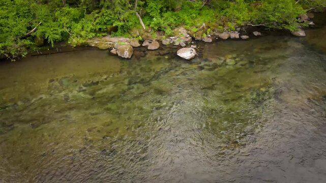 Kern river flowing near trees