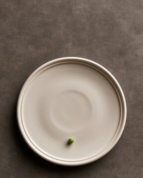 single empty white plate with one small green pea in the center, dark neutral table, food insecurity