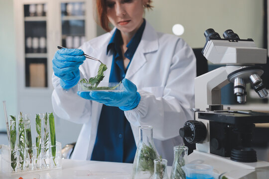 Scientists in lab coats work with plants in a modern lab, focusing on research and experimentation under bright, sterile conditions.