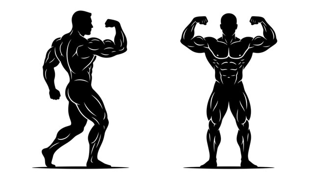 Muscular bodybuilder silhouette vector illustration showcasing athletic physique poses with strong biceps and defined chest muscles