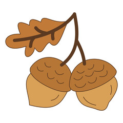 Flat style sticker illustration of acorns with oak leaf isolated on transparent background. Botanical fall oak tree nuts clip art graphic design element for autumn seasonal project asset. © Ageng Arifian