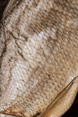 Macro Texture of Dried Salted Fish Scales © Alona Dudaieva