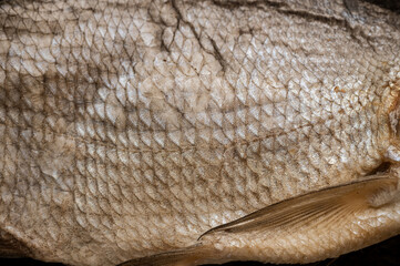 Macro Texture of Dried Salted Fish Scales © Alona Dudaieva