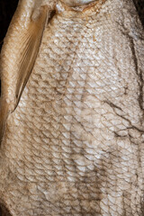 Macro Texture of Dried Salted Fish Scales © Alona Dudaieva