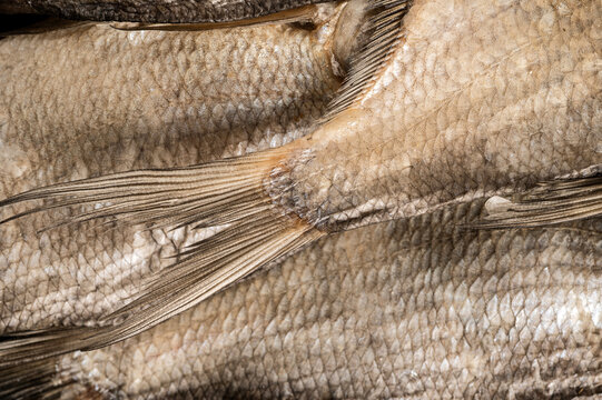 Macro Texture of Dried Salted Fish Scales