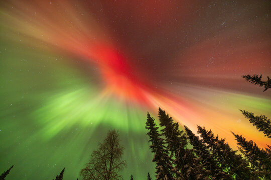 Aurora corona over Snowy Forest in Finnish Lapland