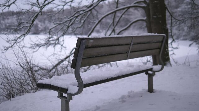 Peaceful winter park landscape covered in fresh snow, featuring a snow-covered wooden bench in the foreground and a frozen lake in the background