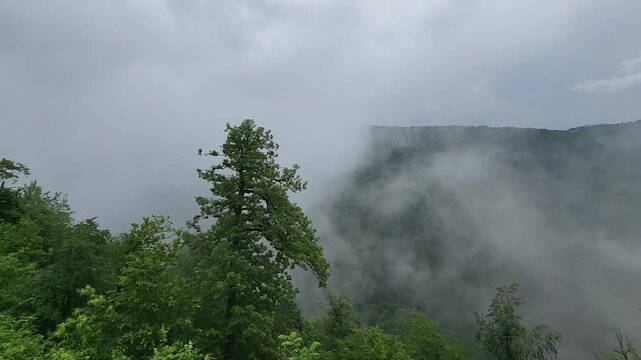 Mysterious mountain landscape with thick fog and mist moving through the lush green trees and valley on a cloudy, moody day, creating an atmospheric and dramatic natural scene