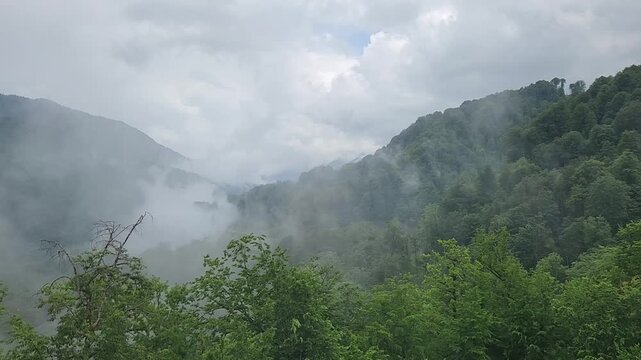 White clouds and mist moving through a scenic valley between green mountains covered with a lush forest on a moody and overcast day, suggesting a wild and untouched natural environment