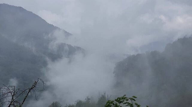 Thick white fog and low clouds moving through a lush green mountain valley, covering the dramatic landscape in a mystical haze creating a tranquil and atmospheric scene of raw nature