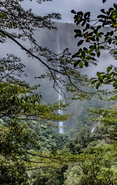 Humboldt Falls, 275 Meter hoher Wasserfall im Nebel, gerahmt von Baumkronen und Aesten, Hollyford Valley, Fiordland National Park, Southland, Suedinsel, Neuseeland