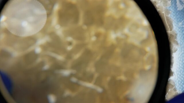 Crystal meth is strong form of amphetamine. Comes as powder crystals or tablets and has a similar euphoric effect to cocaine. Methamphetamine is powerful psychoactive substance and known as stimulant.