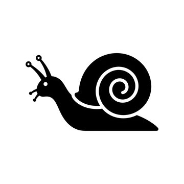 Black and white illustration of a snail with spiral shell.