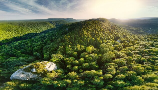 aerial view of dense green forest with rocky terrain